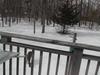 DSCN0241.JPG